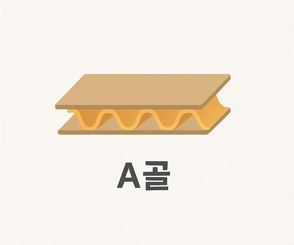 A골 (약 4.5~5mm)