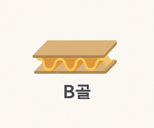 B골 (약 2.5~3mm)